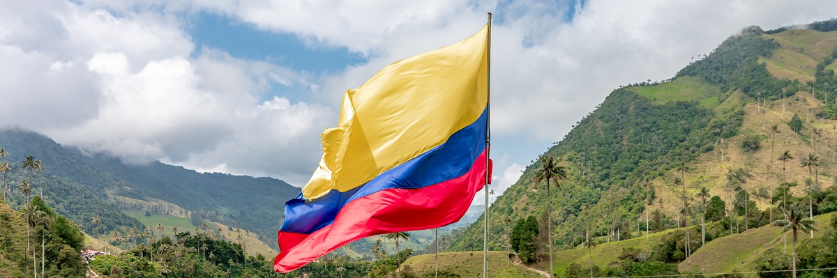 Colombian flag in the national park					