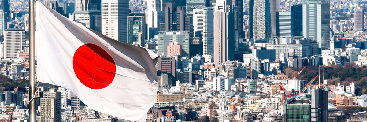 Panoramablick auf Tokio und die japanische Flagge, Japan