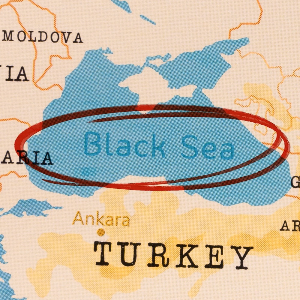 Black Sea marked with Red Circle on Realistic Map.