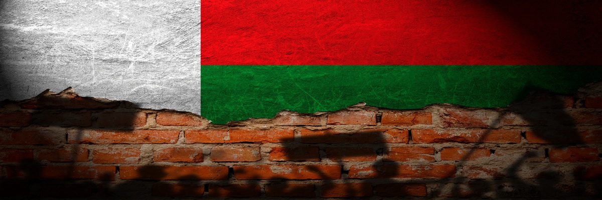 Madagascar flag painting on brick wall and Protesters shadow.
